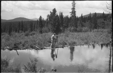 Alfred M. Bailey with Beaver Dam