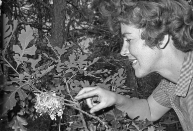 Patricia Bailey Witherspoon with Bird