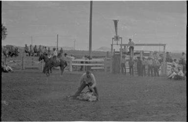 Wyoming State Fair
