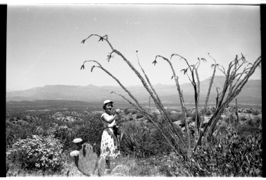Patricia Bailey Witherspoon and Cacti