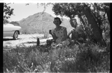 Patricia Bailey Witherspoon and Alfred M. Bailey Picnic