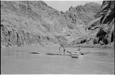 Log rolling on the Colorado River
