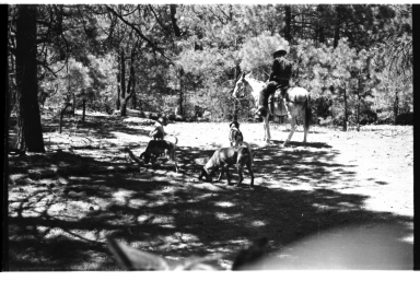 Crell Lee with Hunting Dogs