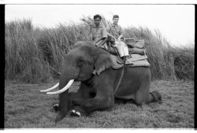 Jack Murphy and an unidentified man on an elephant