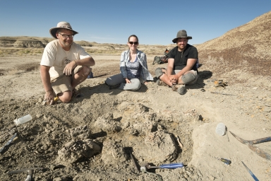 Paleontology fieldwork in New Mexico