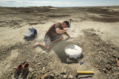 Paleontology fieldwork in New Mexico