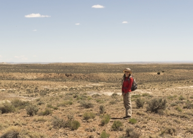 New Mexico fieldwork