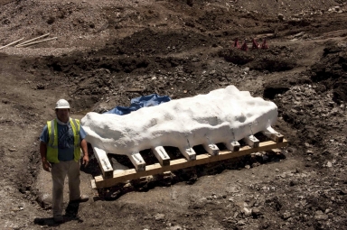 Snowmass Excavation from the George Sparks Collection
