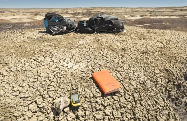Fieldwork in New Mexico
