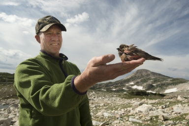 Ornithology fieldwork with Dr. Garth Spellman and Teen Science Scholars