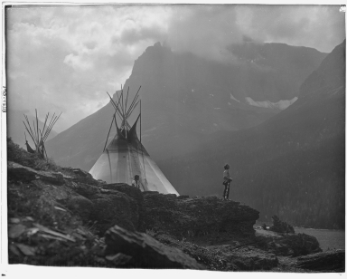 Roland W. Reed Collection
