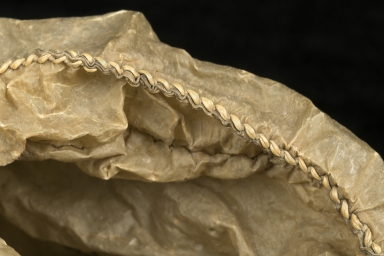 Detail of seal gut parka