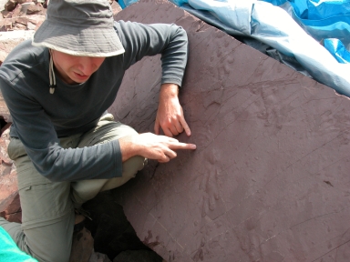 Sebastian Voigt  at Ichniotherium slab