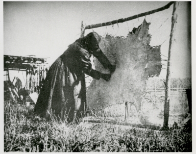 Plains Indian camp scene, woman working on a hide