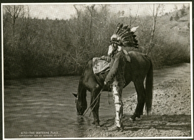 Man watering horse