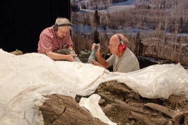Working on Mammoth in Pop-up Exhibit