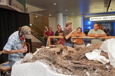 Working on Mammoth from Snomastadon Excavation in Pop-up Exhibit