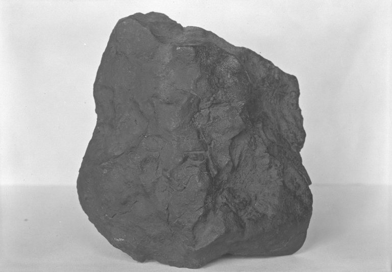 Meteorite specimen