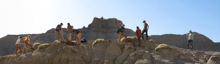 A panoramic view of the DMNS Team hard at work on the Kaiparowits Plateau in Utah.