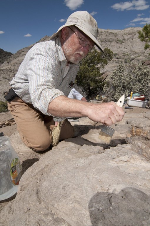 DMNS Volunteer Mark Hunter carefully brushes off a specimen being chipped out of the rock.