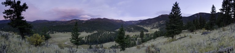 Field Location for the American Elk Diorama.