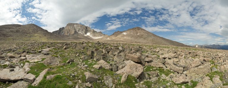 Field Location for the Alpine Tundra Diorama.