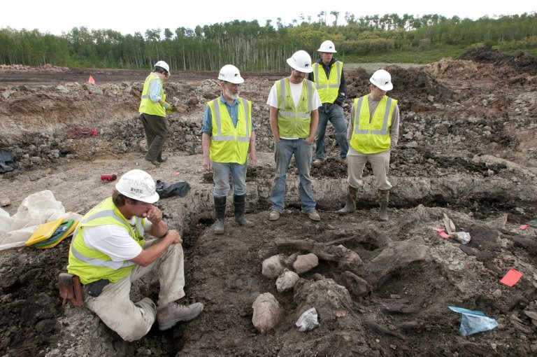 Snowmastodon Excavation, People & Fossils