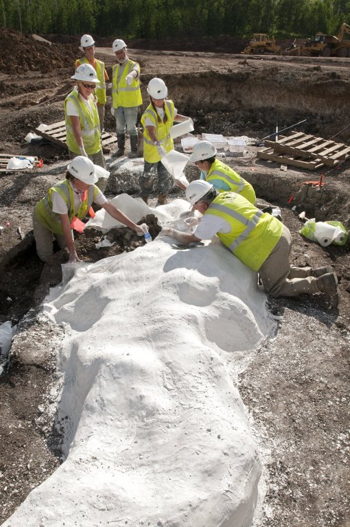 Snowmastodon Excavation, People & Fossils