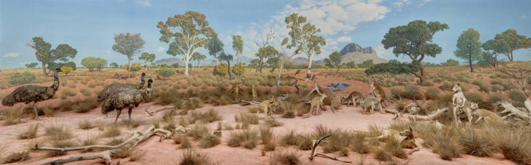 Desert diorama