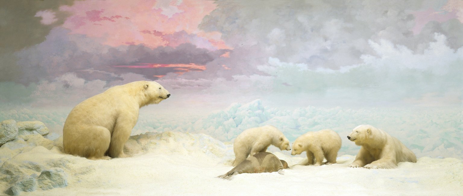 Polar Bear Diorama