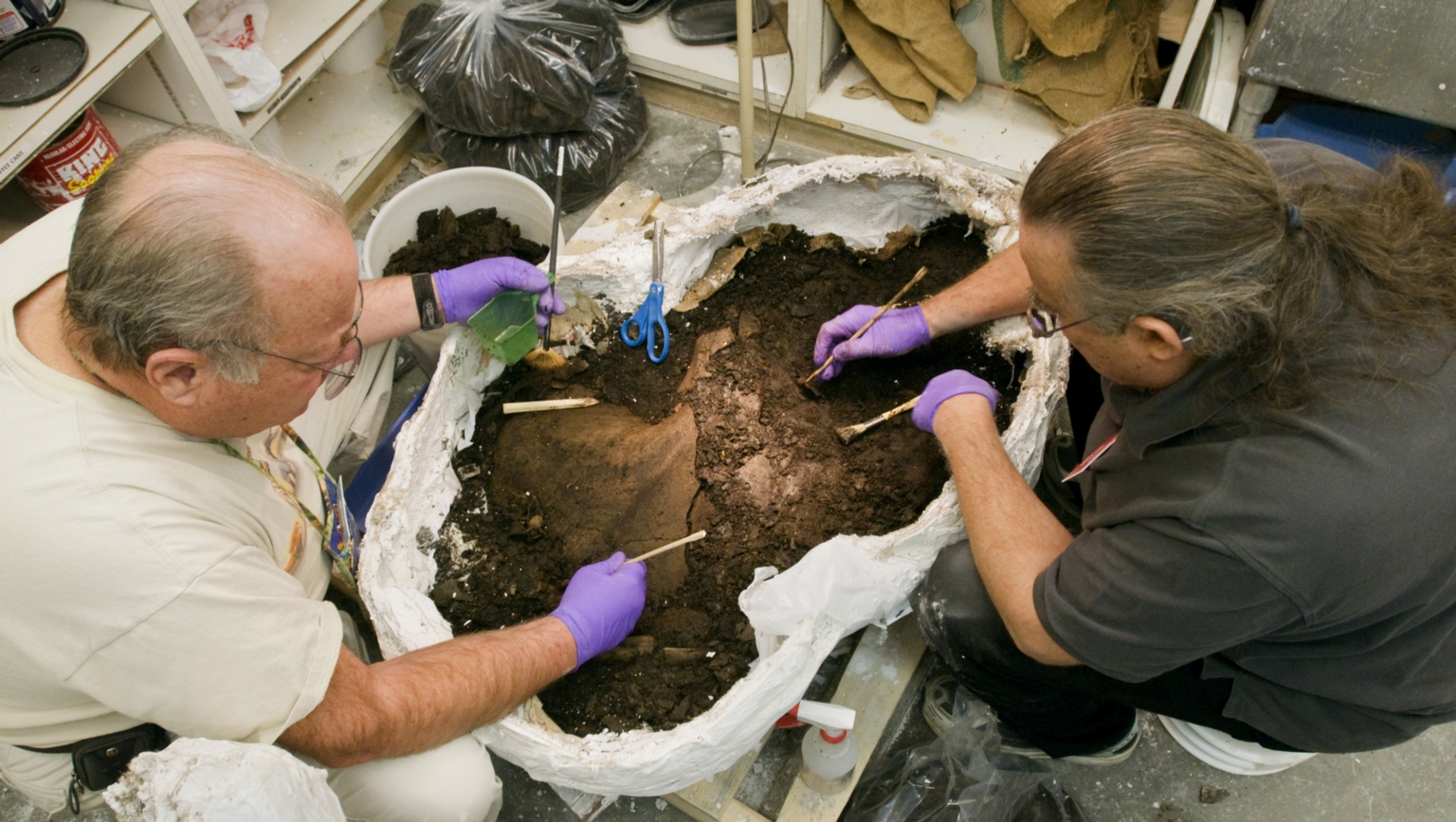 Cleaning Juvenile Mastadon in Paleo Lab from Snomastadon Excavation