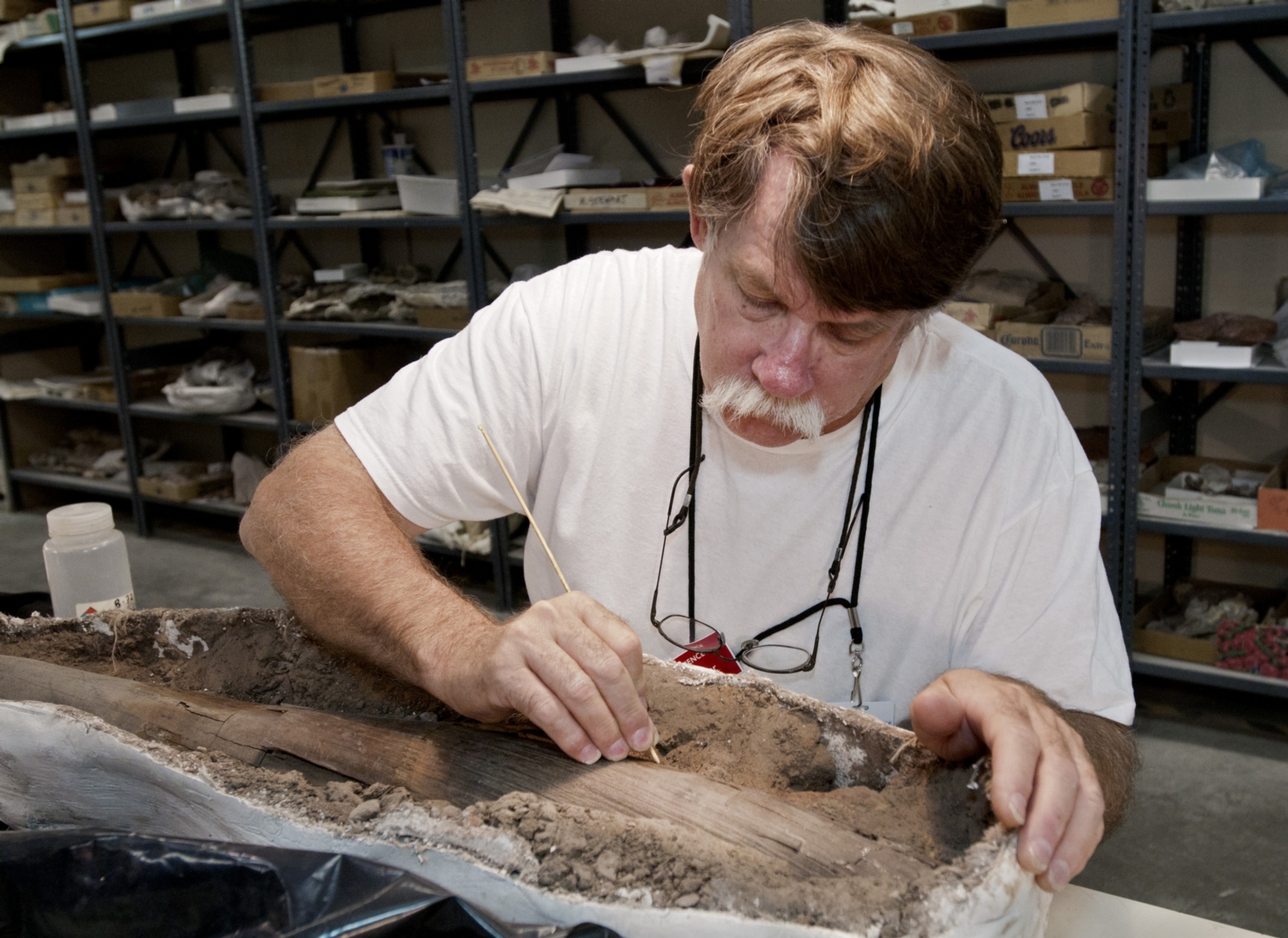 Repairing Mastodon Tusk from Snomastadon Excavation in Paleo Lab